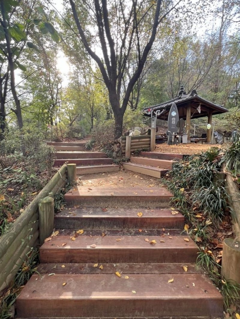 궁동산 등산로 정비 (출처=연합뉴스)