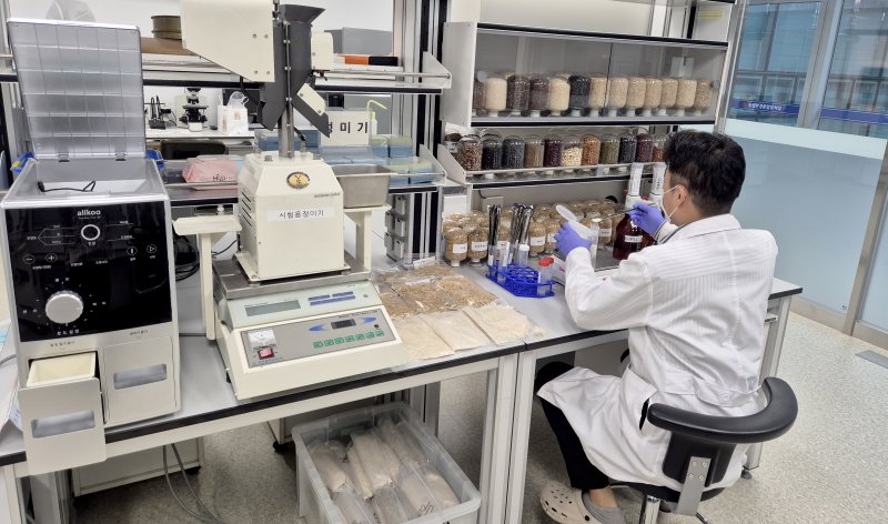[광주=뉴시스] 광주시농산물품질관리원, 쌀 잔류농약 검사. (사진=광주시청 제공). photo@newsis.com *재판매 및 DB 금지