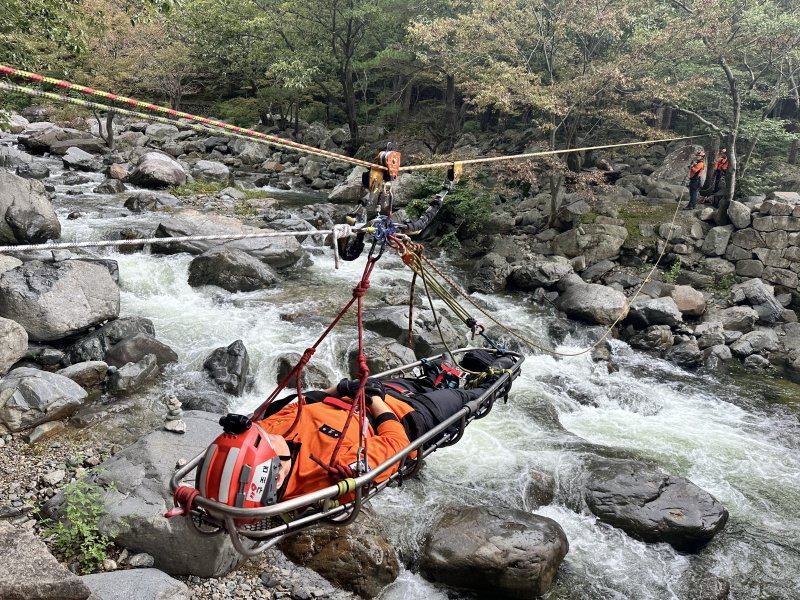(출처=뉴시스/NEWSIS)