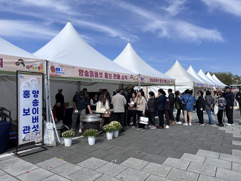 [대전=뉴시스] 부여군 2024 양송이·표고버섯 축제 행사장 *재판매 및 DB 금지
