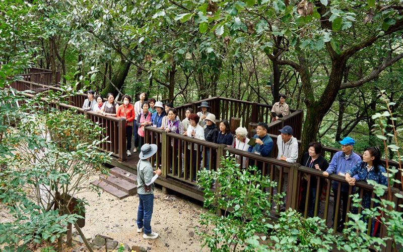 월아산 숲속의 진주에서 진행된 오늘 낮 당산나무 아래서 오리엔테이션 현장 사진