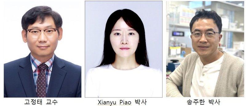 전남대 치의학전문대학원 연구팀 (출처=연합뉴스)