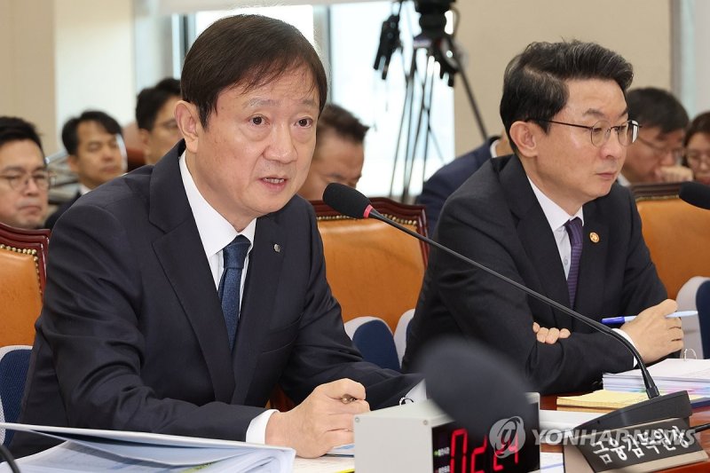 답변하는 이찬진 금감원장 (출처=연합뉴스)