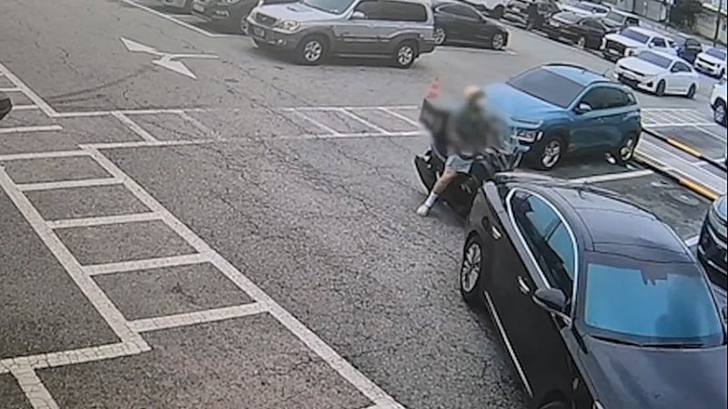 상습 보험사기 일당 (출처=연합뉴스)