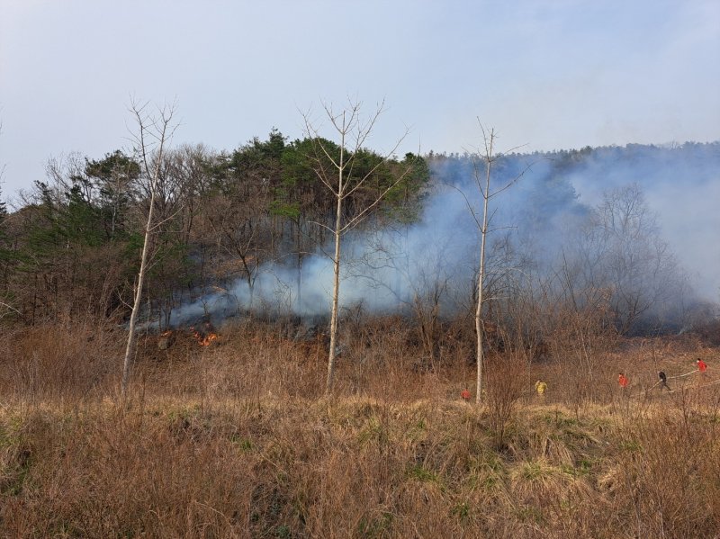 충북 산불.( 충북소방본부 제공. 재판매 및 DB 금지) 2025.3.25/뉴스1