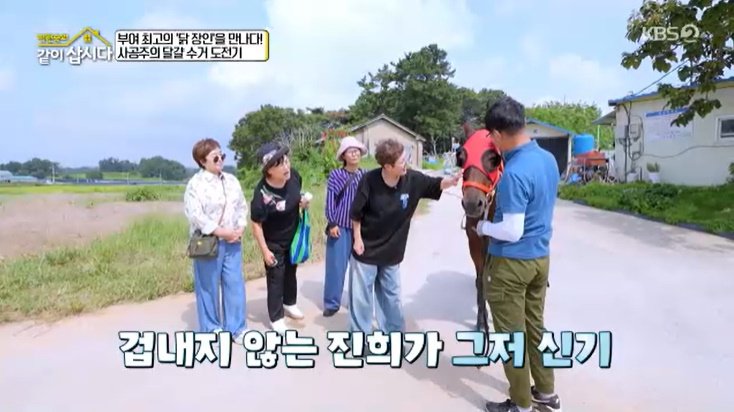 홍진희, 처음 본 말과 교감…거침없는 모습에 '깜짝'