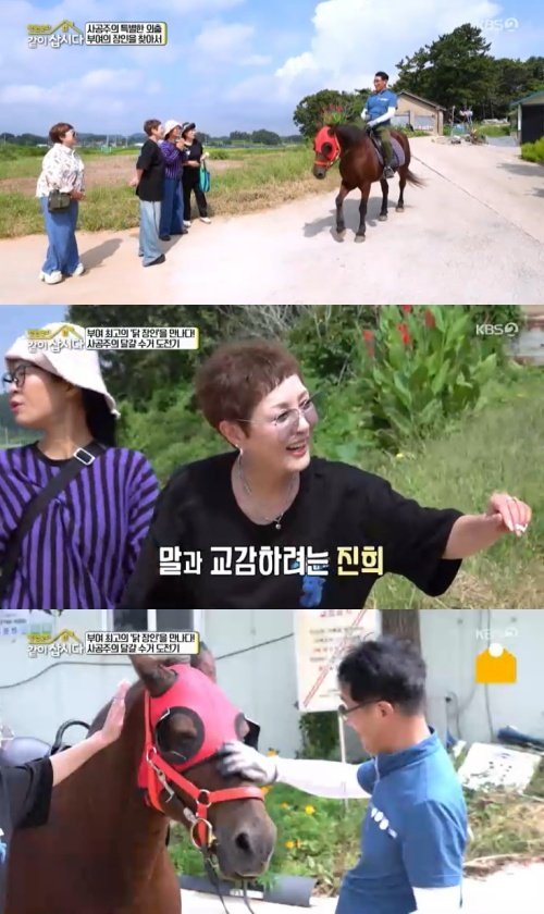 홍진희, 처음 본 말과 교감…거침없는 모습에 '깜짝'