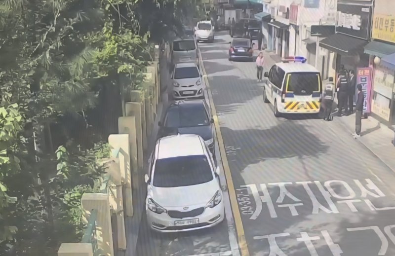 [서울=뉴시스] 96억원대 다중 피해를 낸 사기 수배자가 지난 20일 무단횡단을 하려다 경찰에 붙잡혔다. 사진은 검거 당시 모습. (사진=서울경찰청 기동순찰대 제공) 2025.10.27. photo@newsis.com