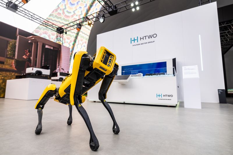 경주엑스포대공원 에어돔 ‘현대자동차그룹관’ 내를 자유롭게 활보하고 있는 보스턴다이나믹스의 4족 보행 로봇 ‘스팟(SPOT)’. 현대자동차그룹