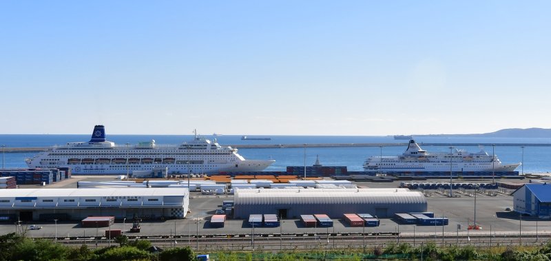 APEC 회의 기간 글로벌 CEO 들의 숙소로 사용할 '피아노랜드호'(왼쪽)와 '이스턴 비너스호'가 28일 경북 포항시 북구 영일만항에 입항 후 정박했다.2025.10.28/뉴스1 ⓒ News1 최창호 기자