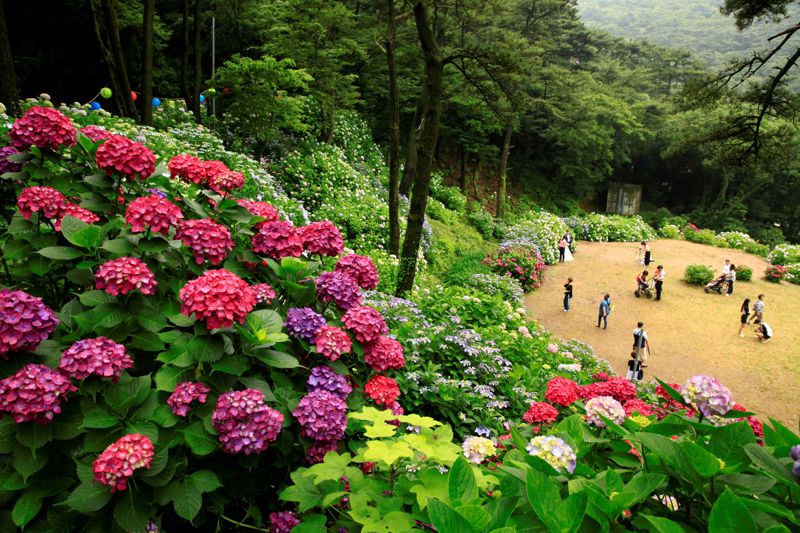 부산 영도구 태종대유원지 도시숲