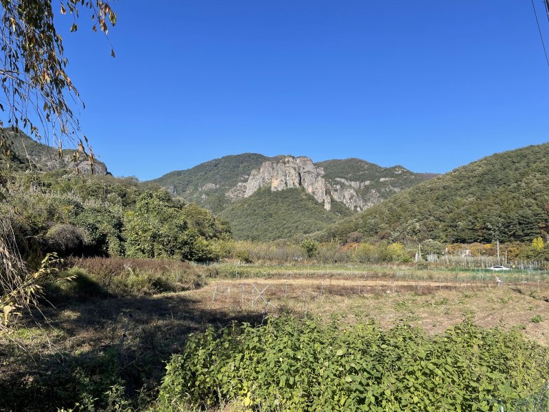 지난 27일 경북 청송군에 있는 주왕산에 첫 단풍이 관측됐다.(대구기상청 제공. 재판매 및 DB금지)