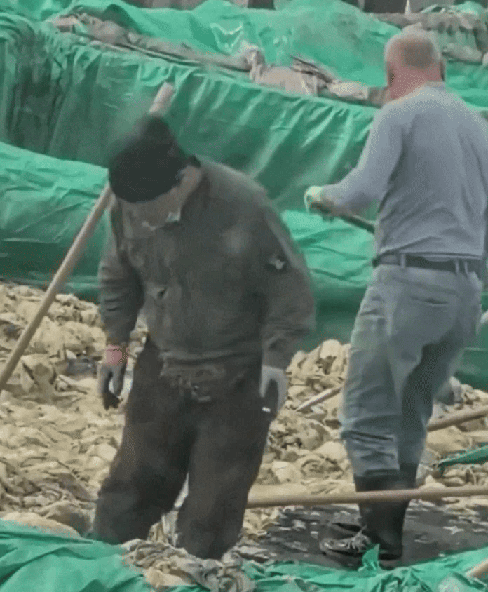 "담배 피우고 침 뱉고..." 중국산 김치 피하는 이유가