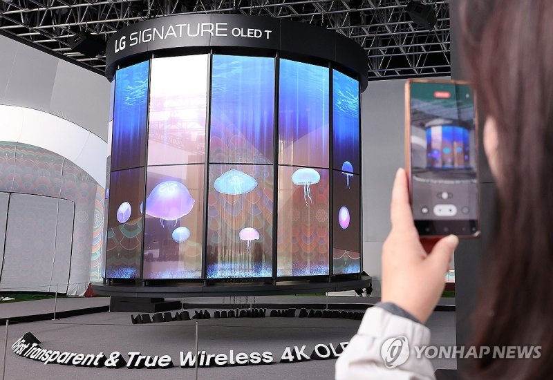 '투명 올레드 TV'로 만든 LG전자 대형 샹들리에 (출처=연합뉴스)