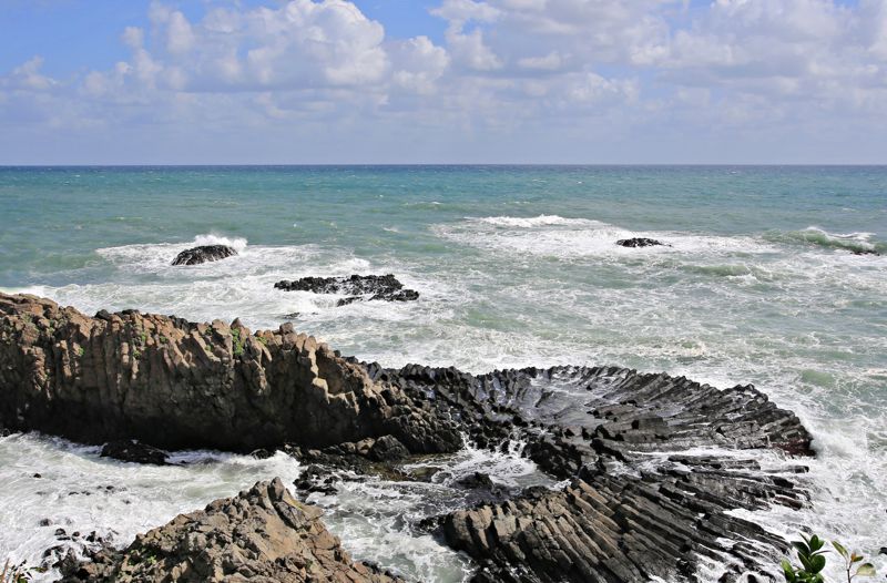 경주에서 만날 수 있는 다양한 형태의 주상절리