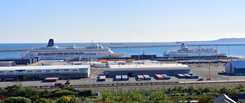 28일 APEC 회의 기간 동안 글로벌 CEO 들의 숙소로 사용할 피아노랜드호(왼쪽)와 이스턴 비너스호가 경북 포항시 북구 영일만항에 입항했다. 선상 숙소로 사용할 크루즈선은 11월 1일까지 APEC 회의 참가 기업인 1100여명의 숙소로 사용될 예정이다. 2025.10.28/뉴스1 ⓒ News1 최창호 기자