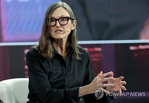 캐시 우드 아크인베스트먼트 최고경영자(CEO) (출처=연합뉴스)