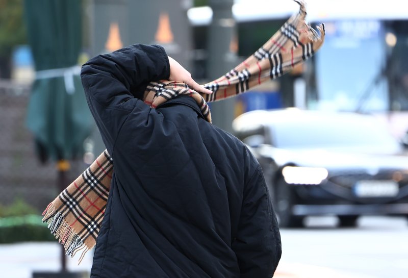 자료사진. 2025.10.27/뉴스1 ⓒ News1 김민지 기자