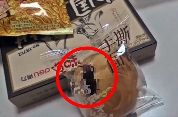 중국 빵에서 살아있는 바퀴벌레가... 충격적 비주얼