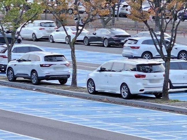 /사진=온라인 커뮤니티 보배드림 갈무리