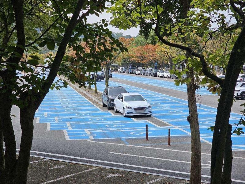 /사진=온라인 커뮤니티 보배드림 갈무리