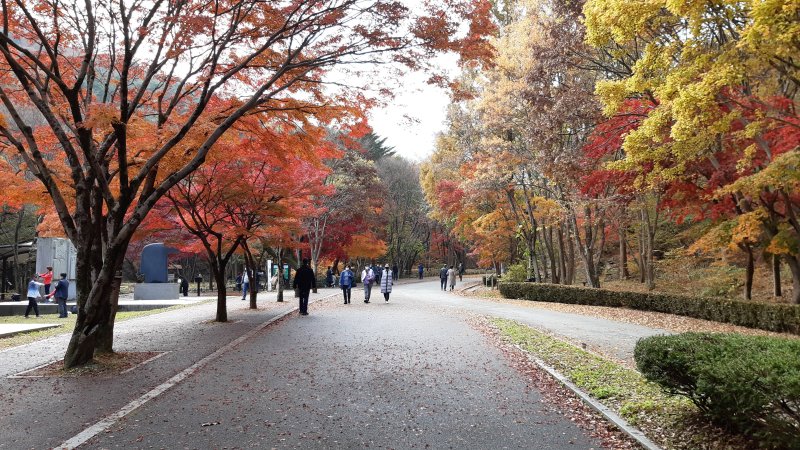 [대전=뉴시스] 계룡산 동학사 산책로. (사진=뉴시스 DB). photo@newsis.com *재판매 및 DB 금지
