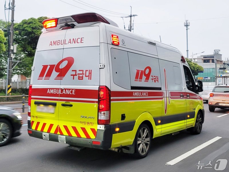 소방안전본부 119구급차량. 2024.5.2/뉴스1