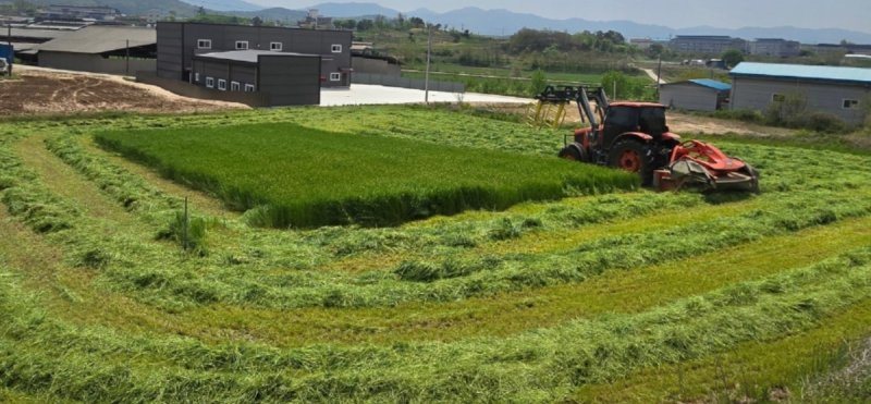 조사료 (출처=연합뉴스)