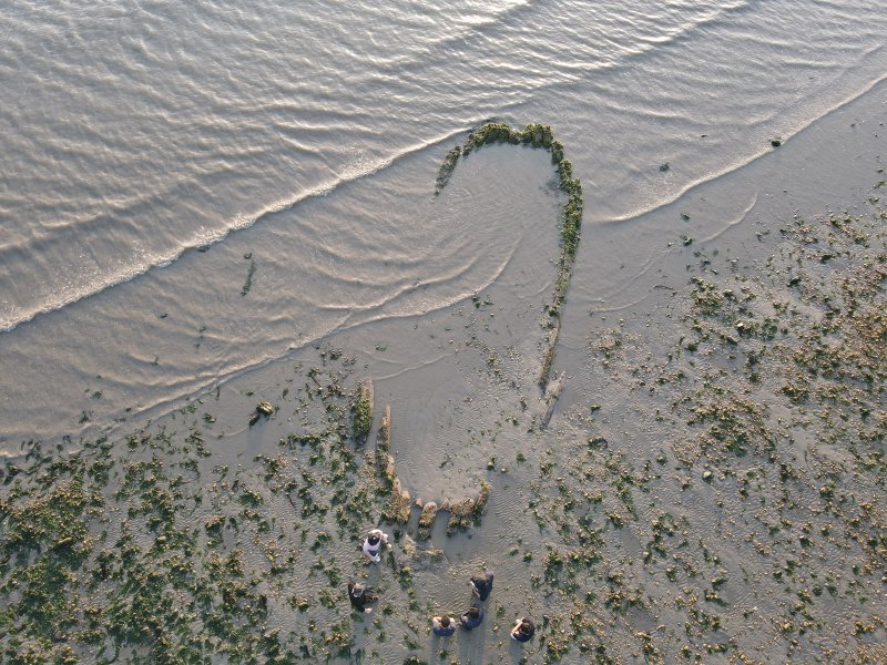 [서울=뉴시스] 해남 송호리1호선 (사진=국가유산청 제공) 2025.10.29. photo@newsis.com *재판매 및 DB 금지
