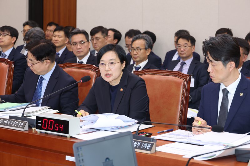 [서울=뉴시스] 고승민 기자 = 한성숙 중소벤처기업부 장관이 지난 14일 서울 여의도 국회에서 열린 산업통상자원중소벤처기업위원회의 중소벤처기업부 등 국정감사에서 의원 질의에 답하고 있다. 2025.10.29. kkssmm99@newsis.com