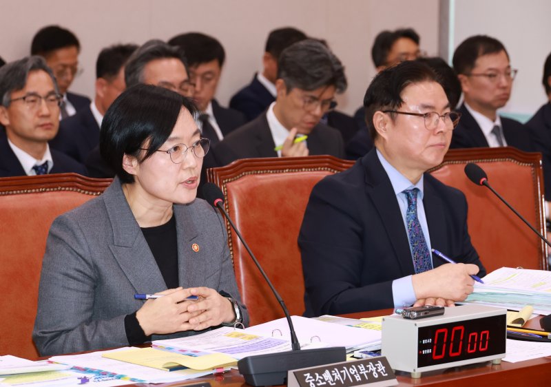 "배민, 소상공인 고혈 짜"...중기부 국감서 '배달앱 폭리' 질타