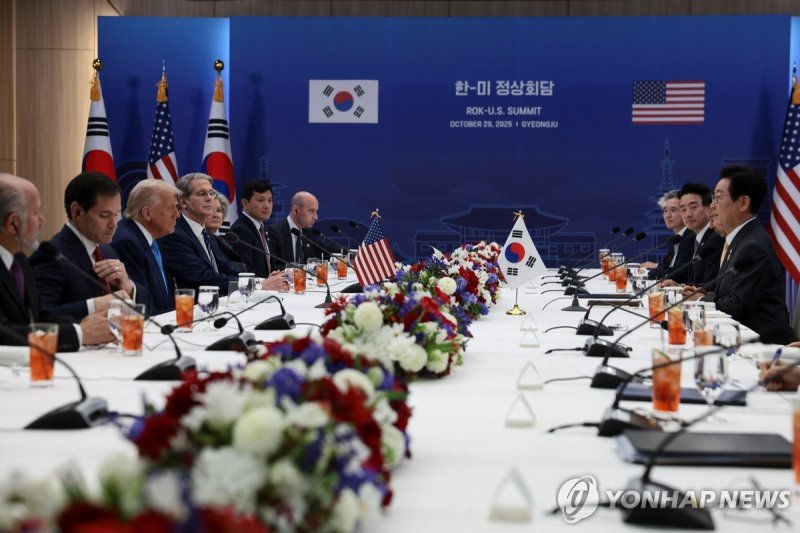 한미 정상회담 (출처=연합뉴스)