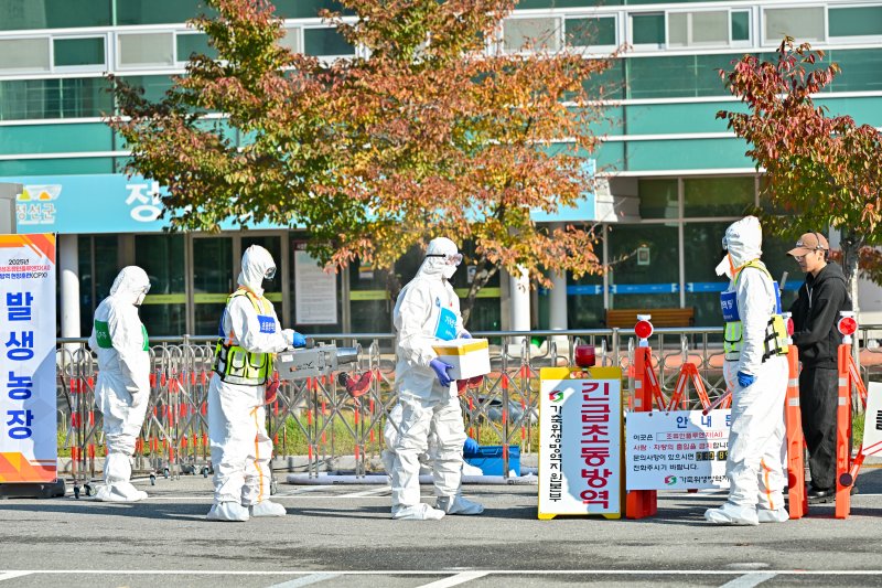 강원도와 정선군이 29일 정선읍 정선종합운동경기장 제1주차장에서 고병원성 조류인플루엔자(AI) 발생을 대비한 '2025년 가상방역 현장훈련'(CPX)을 했다. (정선군 제공. 재판매 및 DB금지) 2025.10.29/뉴스1