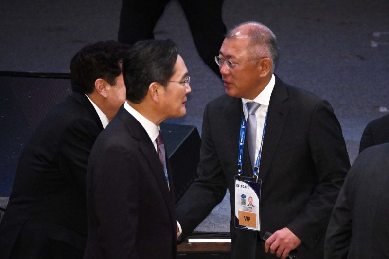 이재용 삼성전자 회장과 정의선 현대자동차그룹 회장이 29일 경북 경주예술의전당에서 열린 아시아태평양경제협력체(APEC) 정상회의 최고경영자(CEO) 서밋(Summit) 개회식에서 참석 기업인들과 인사를 나누고 있다.(공동취재)2025.10.29/뉴스1 ⓒ News1 김민지 기자