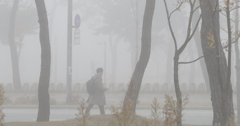 (출처=뉴시스/NEWSIS)