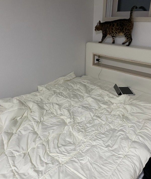 전세사기로 돈 날리고 차에서 1년 반 생활한 남자 "이제..." 근황