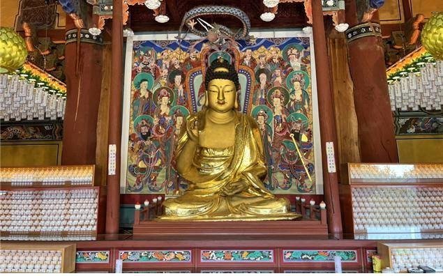 보물 지정된 '세종 비암사 소조아미타여래좌상' (출처=연합뉴스)