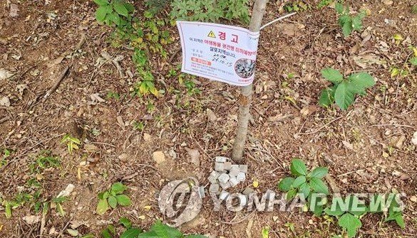 광견병 미끼 예방약 (출처=연합뉴스)