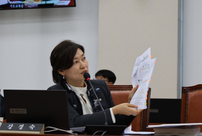 질의하는 강경숙 조국혁신당 의원(의원실 제공. 재배포 및 DB 금지)