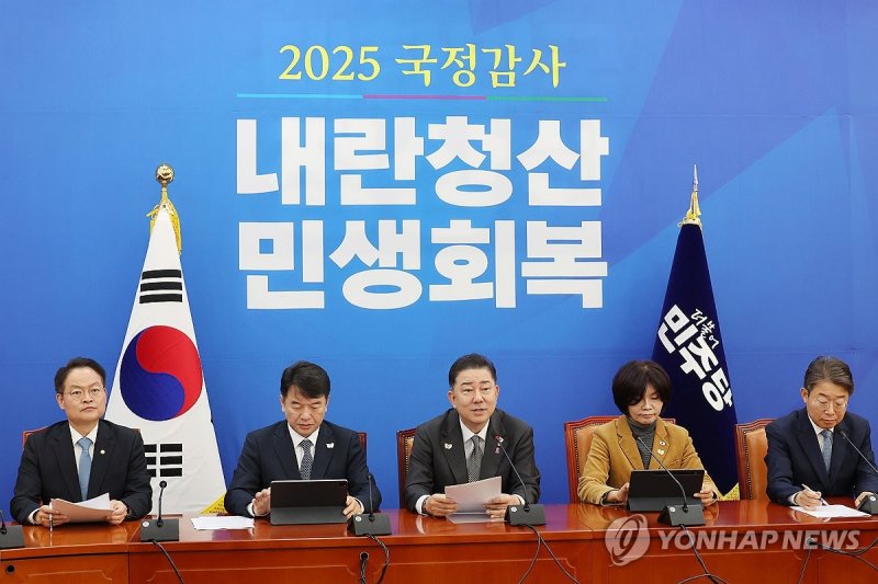 발언하는 김병기 원내대표 (출처=연합뉴스)