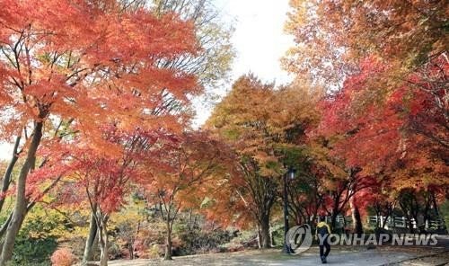 남원시 교룡산 (출처=연합뉴스)