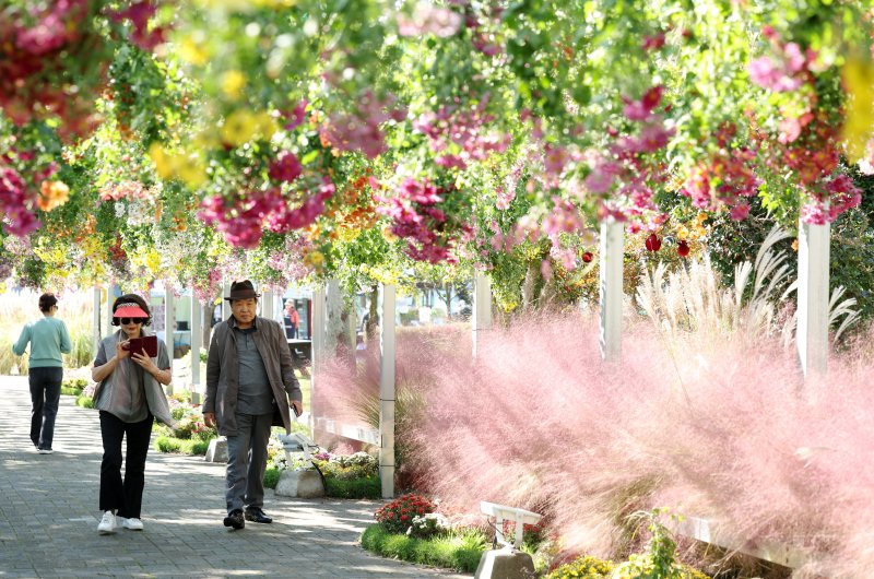 2025 대한민국 국향대전이 열리고 있는 29일 전남 함평군 함평엑스포 공원에서 시민들이 국화 정취를 즐기고 있다. 2025.10.29/뉴스1 ⓒ News1 이승현 기자