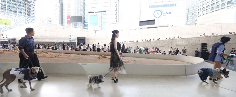 [서울=뉴시스] 홍효식 기자 = 14일 서울 중구 동대문디자인플라자(DDP) 어울림광장에서 열린 '댕댕 런웨이'에서 반려견들이 반려인과 제로웨이스트 패션쇼를 하고 있다. 2025.09.14. yesphoto@newsis.com