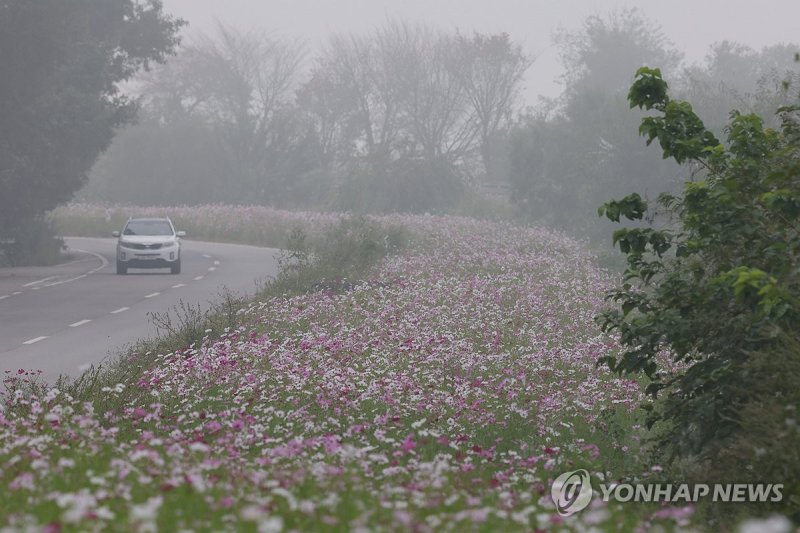 가을 안개 자욱한 판문점 가는 길 (출처=연합뉴스)