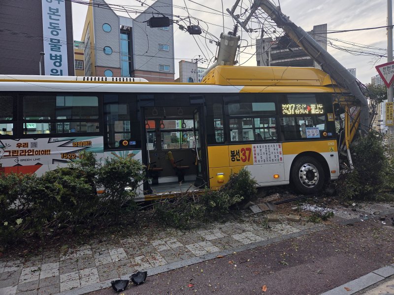 30일 오후 4시 55분쯤 광주 서구청 인근에서 시내버스가 인도로 돌진했다. 사진은 사고 현장 모습. (독자 제공. 재판매 및 DB금지) 2025.10.30/뉴스1