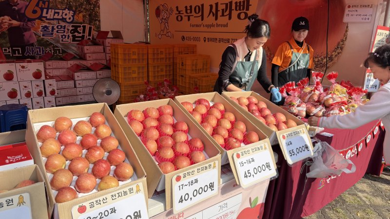 '제23회 홍천 인삼·한우 명품축제'‧'제10회 홍천사과축제'.(홍천군 제공. 재판매 및 DB금지)/뉴스1
