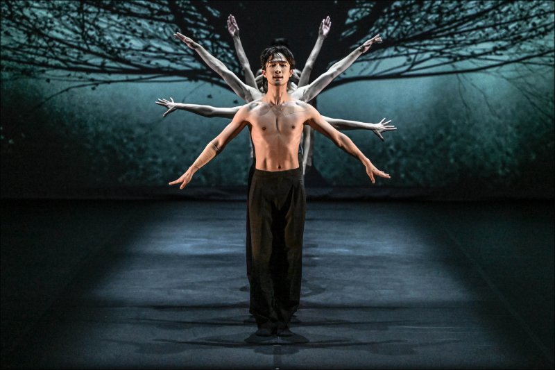 [서울=뉴시스]서울시발레단 '언더 더 트리즈 보이시스' 공연 장면. (사진=세종문화회관 제공)