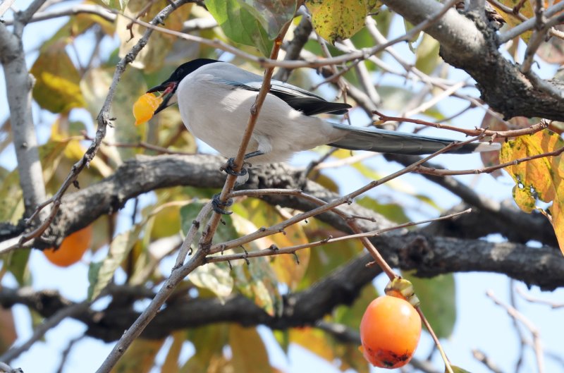 자료사진/뉴스1 ⓒ News1