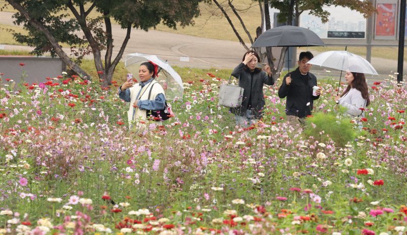 (출처=뉴시스/NEWSIS)