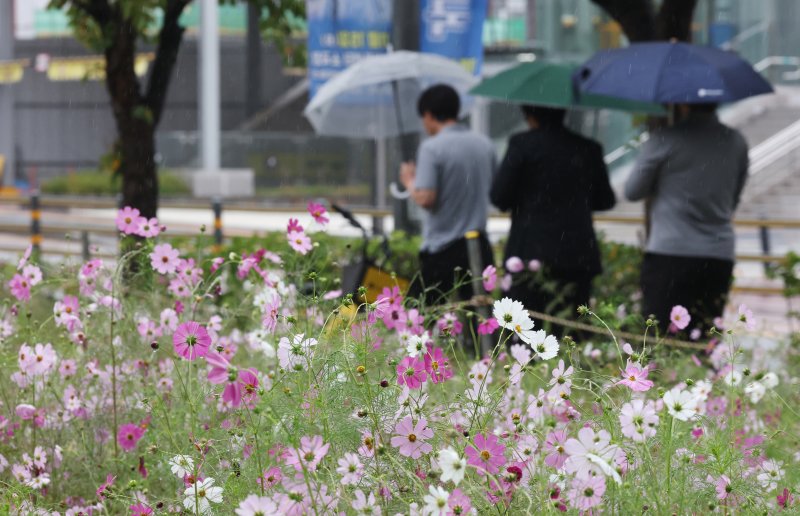 수도권 곳곳에 가을비가 내린 지난 10일 경기 수원시 영통구 경기도청 인근에서 시민들이 우산을 쓰고 지나가고 있다. 2025.10.10/뉴스1 ⓒ News1 김영운 기자